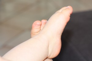 IMG_9399