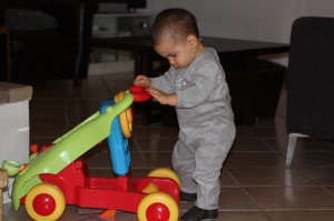 IMG_9829 IMG_9829