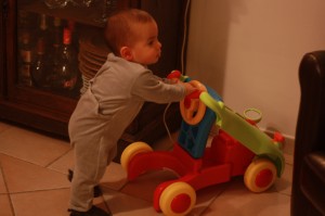 IMG_9841 IMG_9841