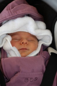 IMG_5812 IMG_5812
