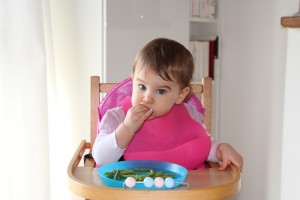 IMG_0446